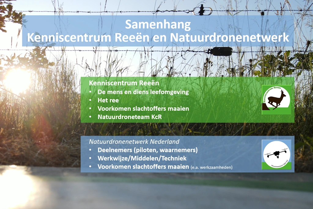 Samenhang Kenniscentrum Reeën en Natuurdronenetwerk Nederland