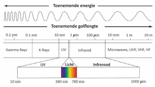 Afbeelding: Wat zintuigen waarnemen zoals de trillingen van licht Afbeelding: Wat zintuigen waarnemen zoals de trillingen van licht
